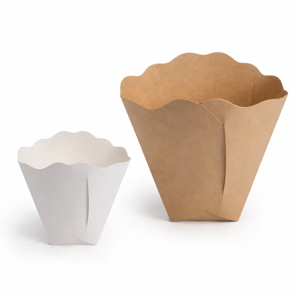 Etui à crêpe carton 7