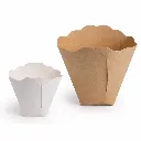 Etui à crêpe carton 7