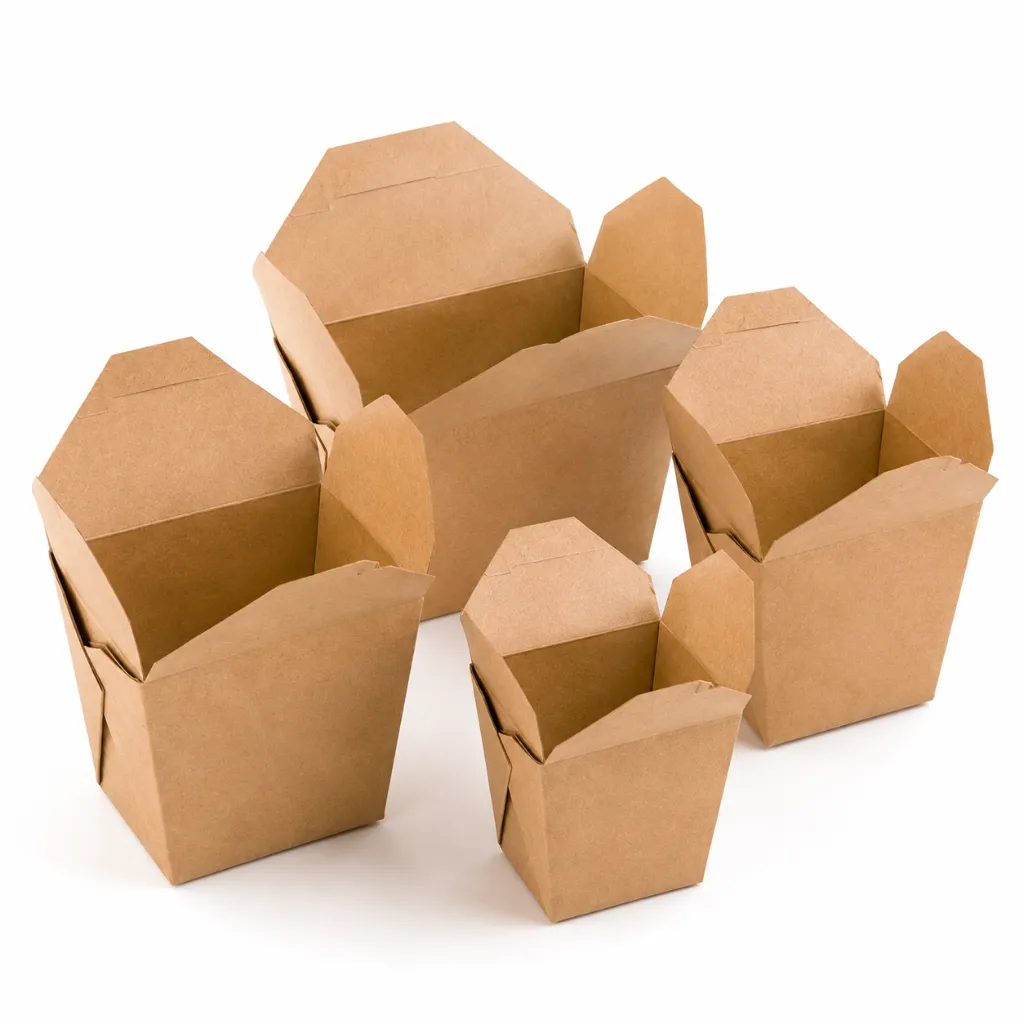 Noodle Takeaway Boxes 4